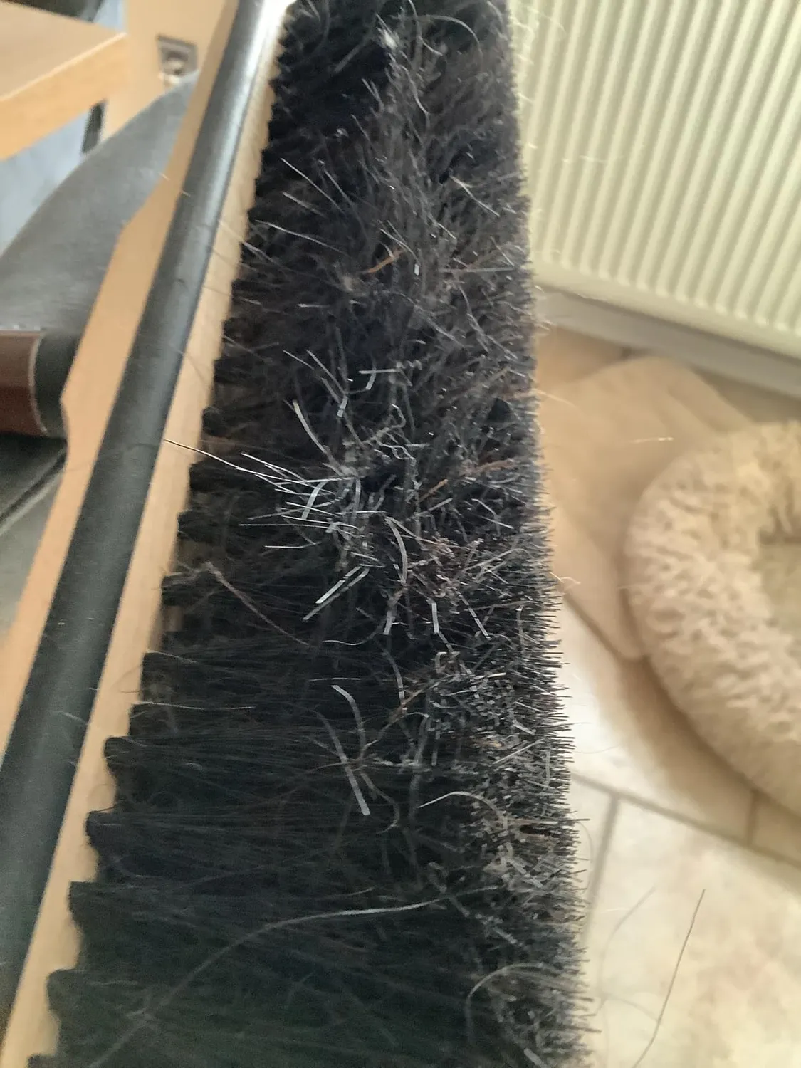 ORGAFLIX Premium Besen 28cm Rosshaar ohne Stiel Kantenschutz