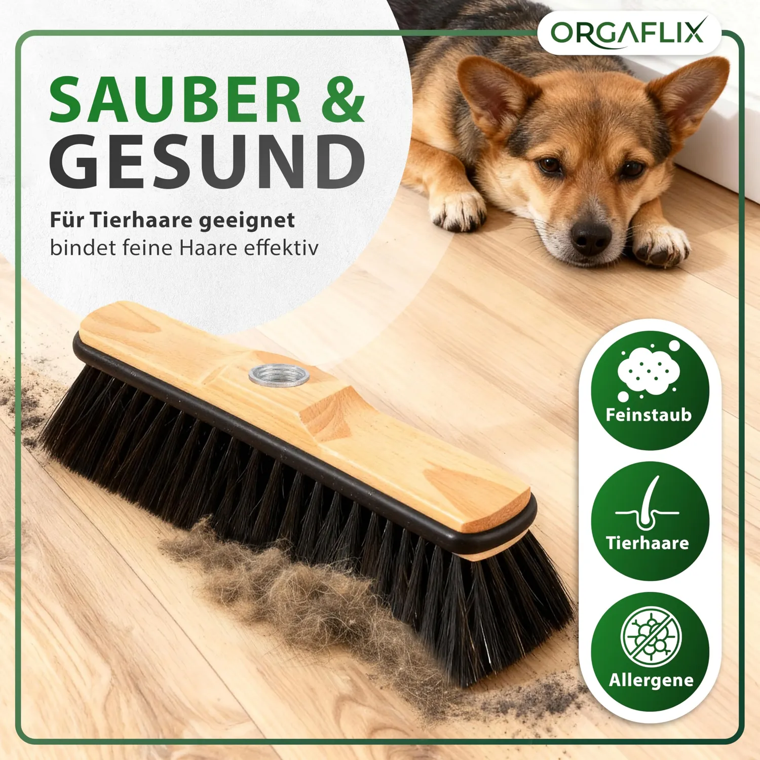 ORGAFLIX Premium Besen 28cm Rosshaar ohne Stiel Kantenschutz