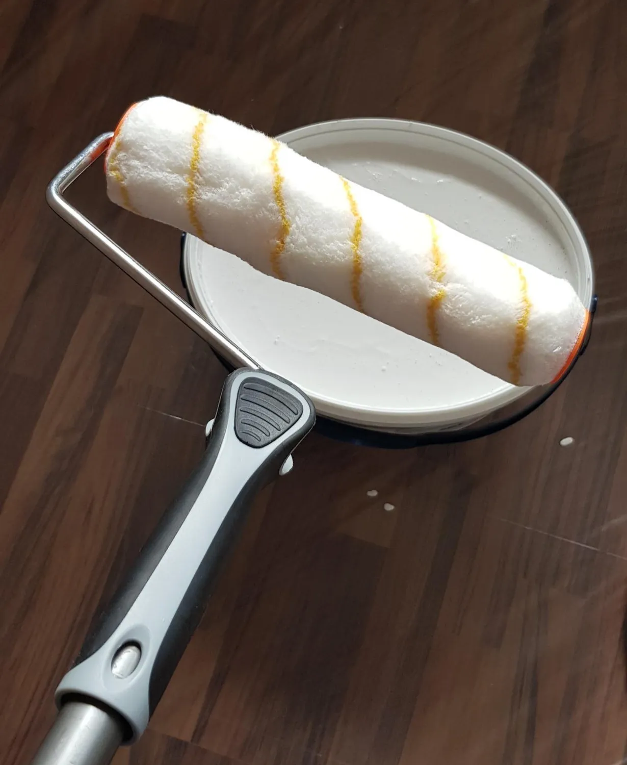 Pinto Deluxe Farbrolle 250mm für Teleskopstange