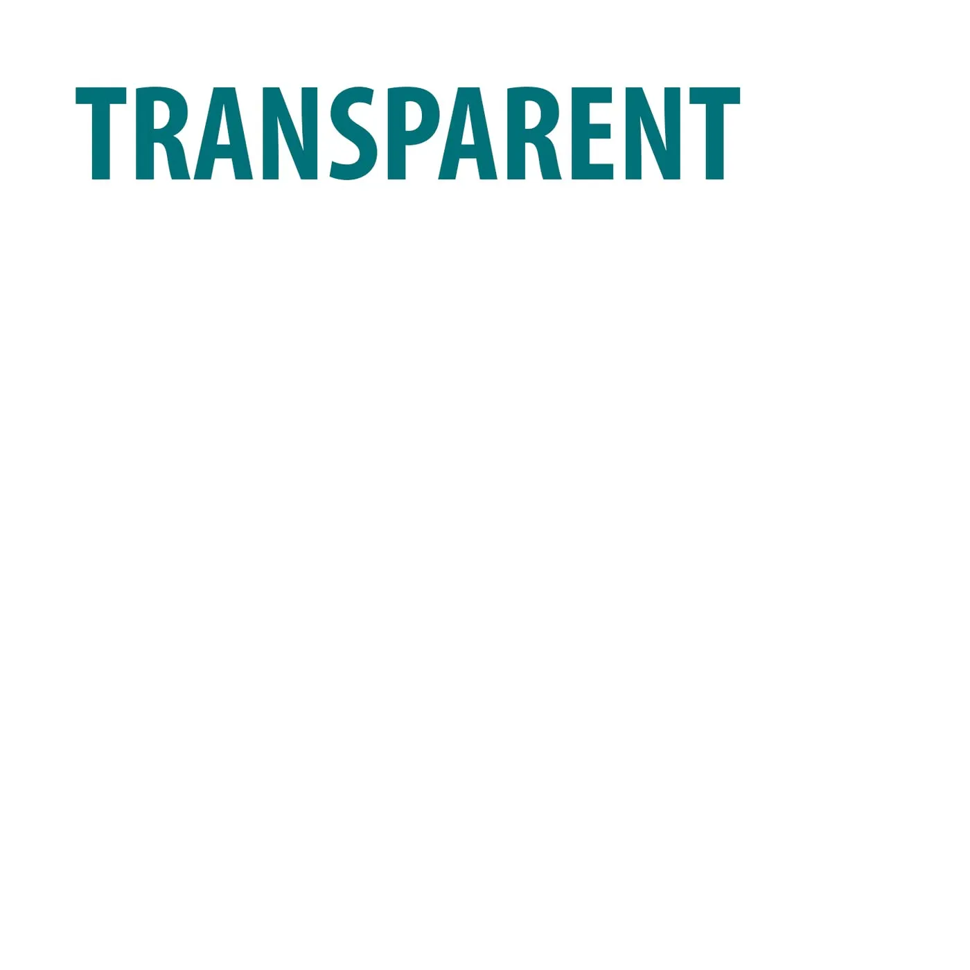 BAUFIX 2K Epoxy Haftvermittler transparent 2,5kg