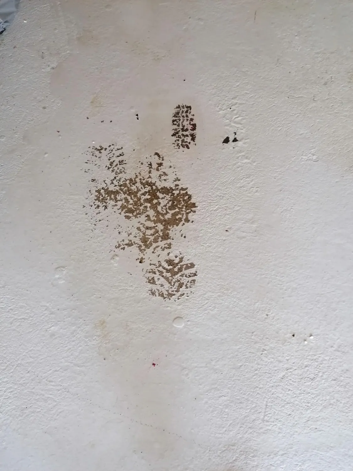 BAUFIX Garagenboden Spezialfarbe silbergrau 5L