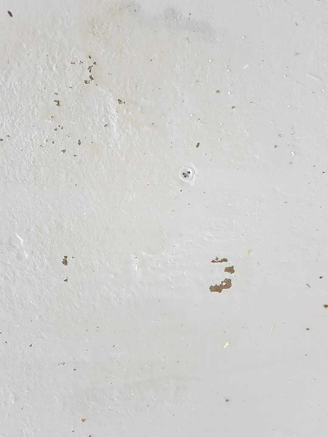BAUFIX Garagenboden Spezialfarbe silbergrau 5L