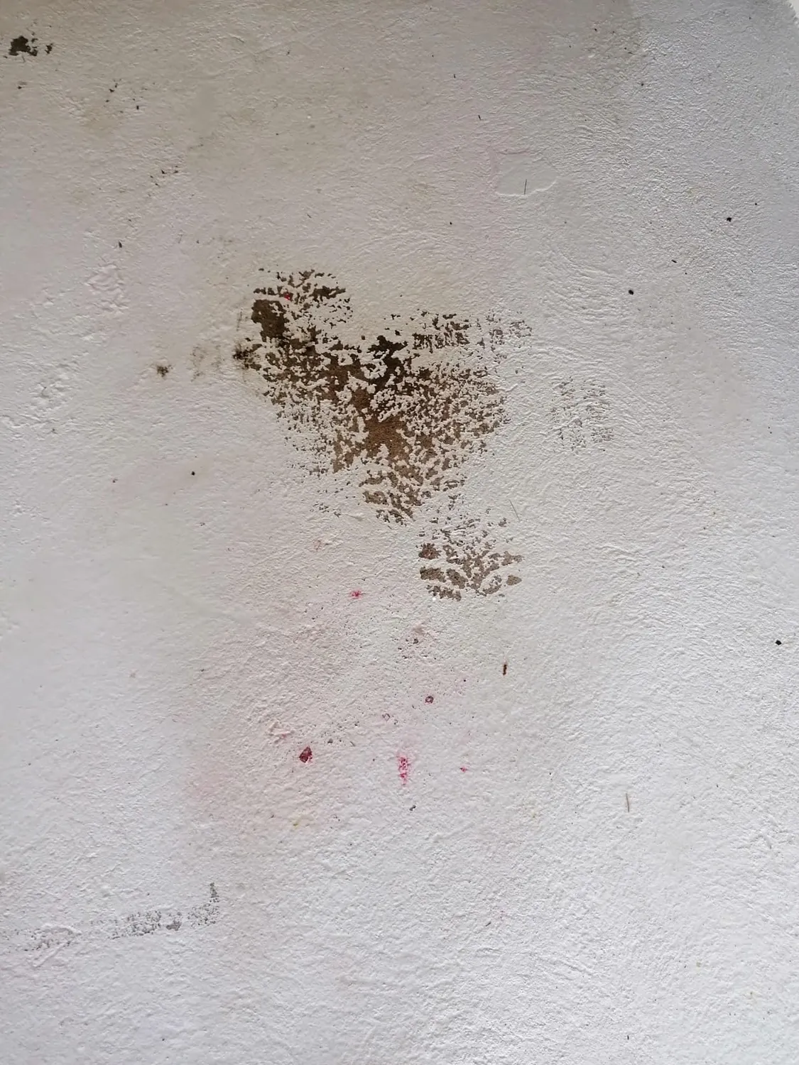 BAUFIX Garagenboden Spezialfarbe silbergrau 5L