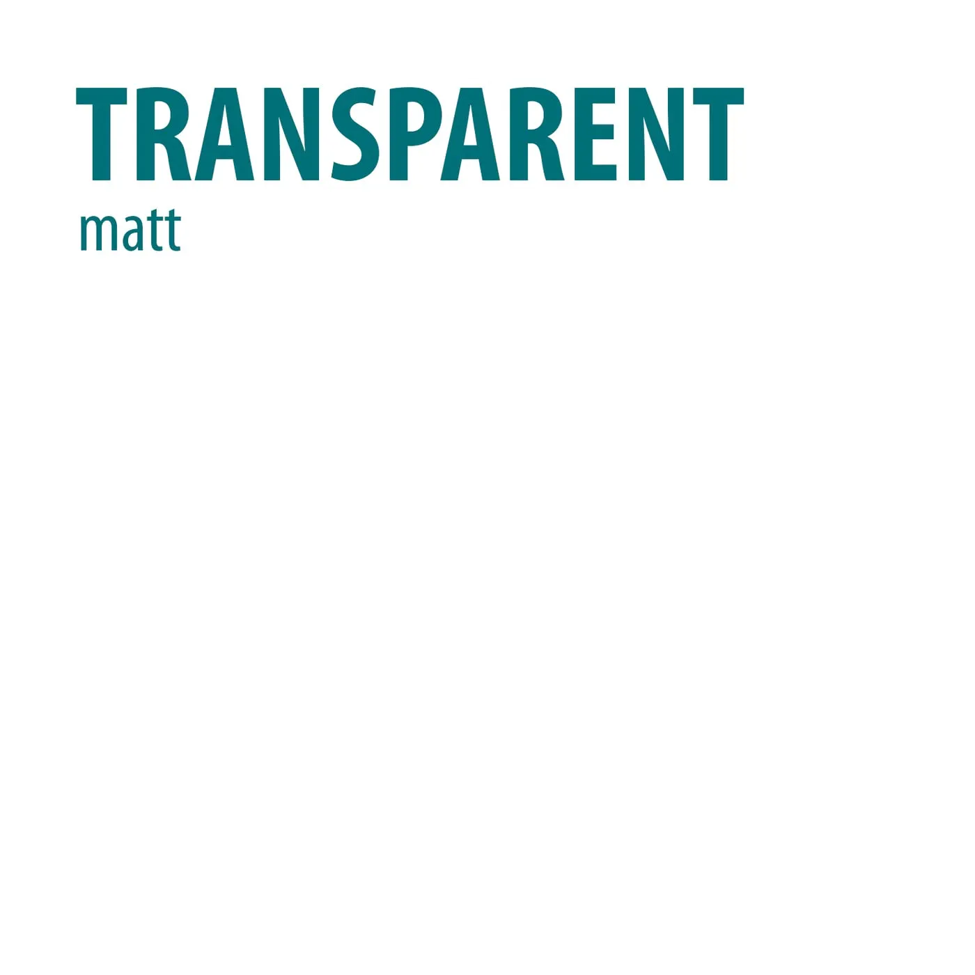 BAUFIX Pflasterstein Farbe transparent matt 2,5 Liter außen