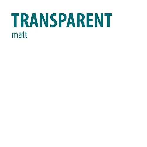 BAUFIX Pflasterstein Farbe transparent matt 2,5 Liter außen