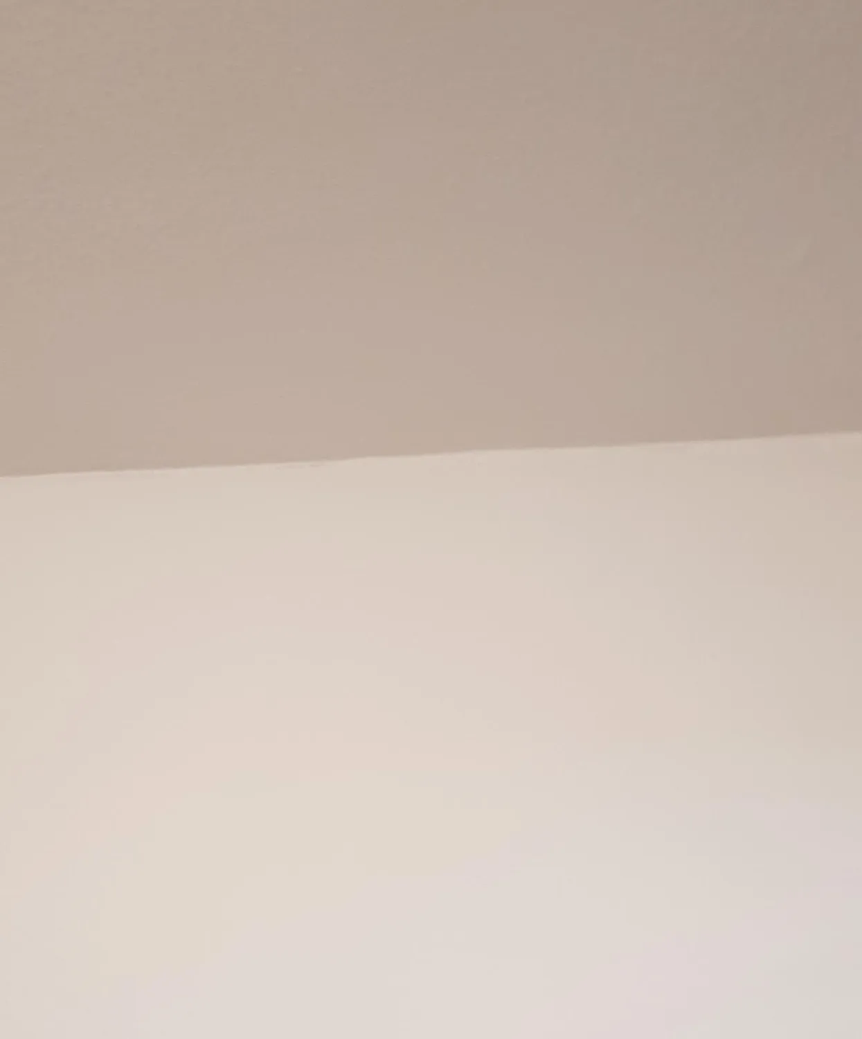 Pinto Deluxe Farbrolle 250mm für Teleskopstange