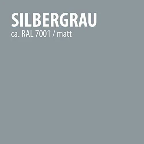 BAUFIX Garagenboden Spezialfarbe silbergrau 5L